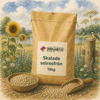 Skalade solrosfrön 15kg