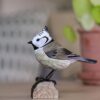 Tofsmes decobird Wildlife Garden