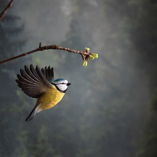 Flygande Blåmes decobird Wildlife Garden hängande från en gren
