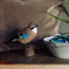 Nøtteknekker decobird Wildlife Garden på bordet