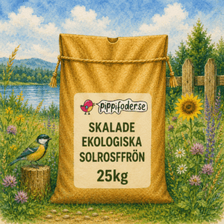 Skalade ekologiska solrosfrön 25 kg från pippifoder med solrosfrön i förgrunden