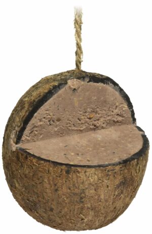 Kokosnöt med fett
