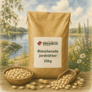 Blancherade jordnötter för fåglar