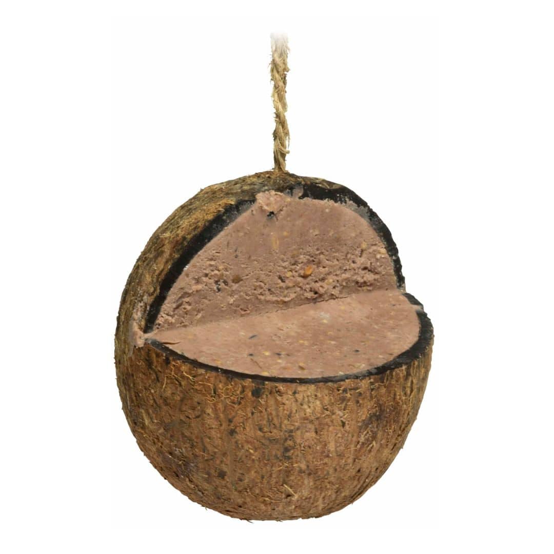 Kokosnøtt med fett 1 Kokosnøtt med fett