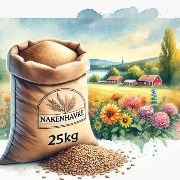 DALL·E 2024 08 23 10.57.42 A watercolor style product image featuring a 25kg sack filled with Nakenhavre Avena nuda. The sack is prominently displayed in the foreground with