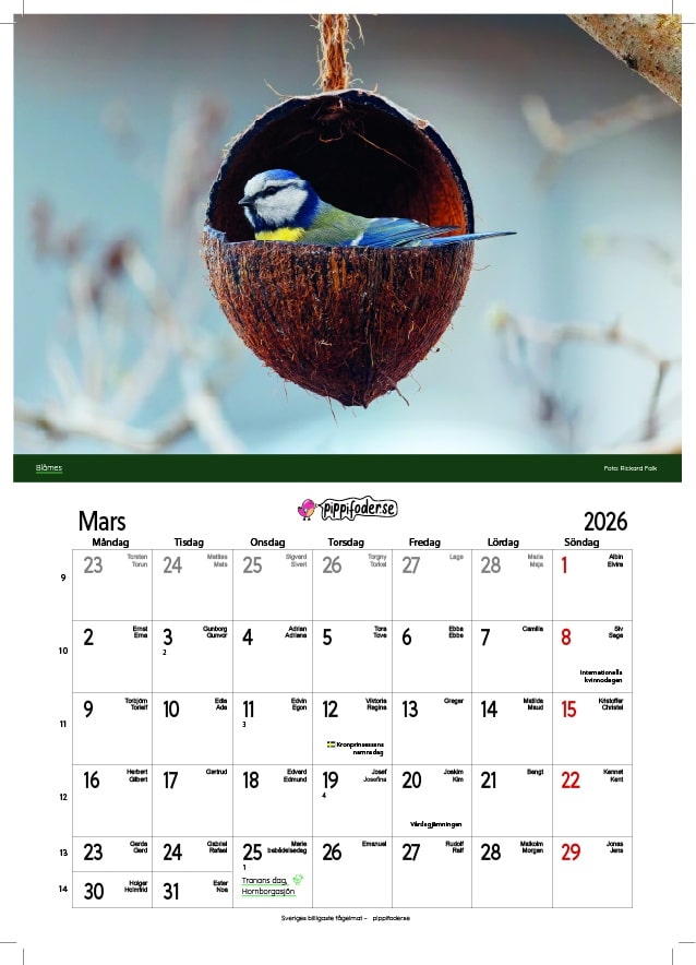 Fågelmatningskalender 2026 2 Almanacka med fågelmotiv mars 2026