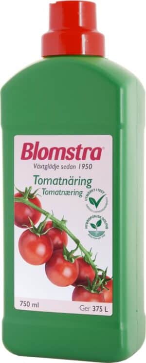 Blomstra tomatnäring