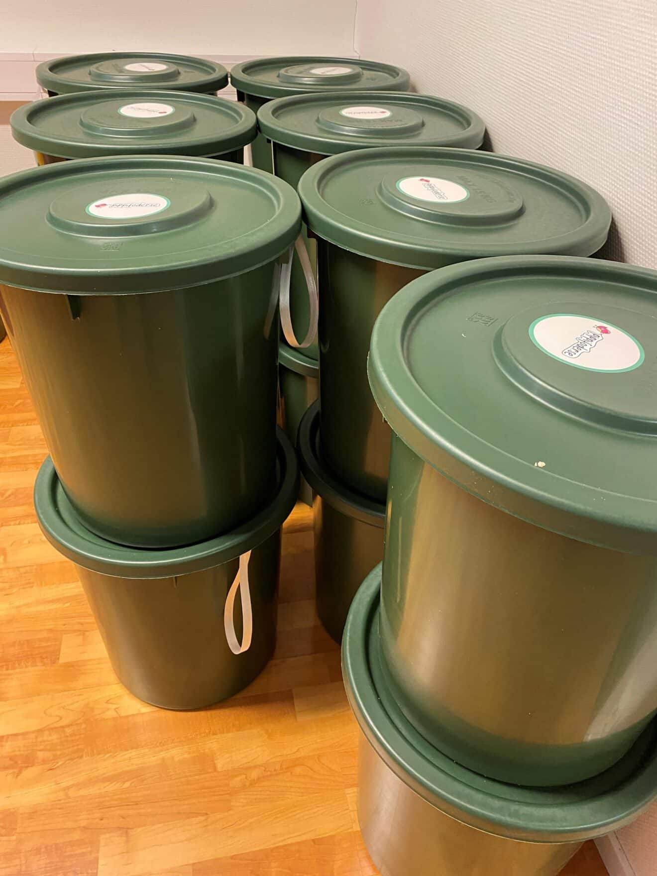 Solrosfrön som fågelmat – Vilka fåglar äter solrosfrön och vilka ...