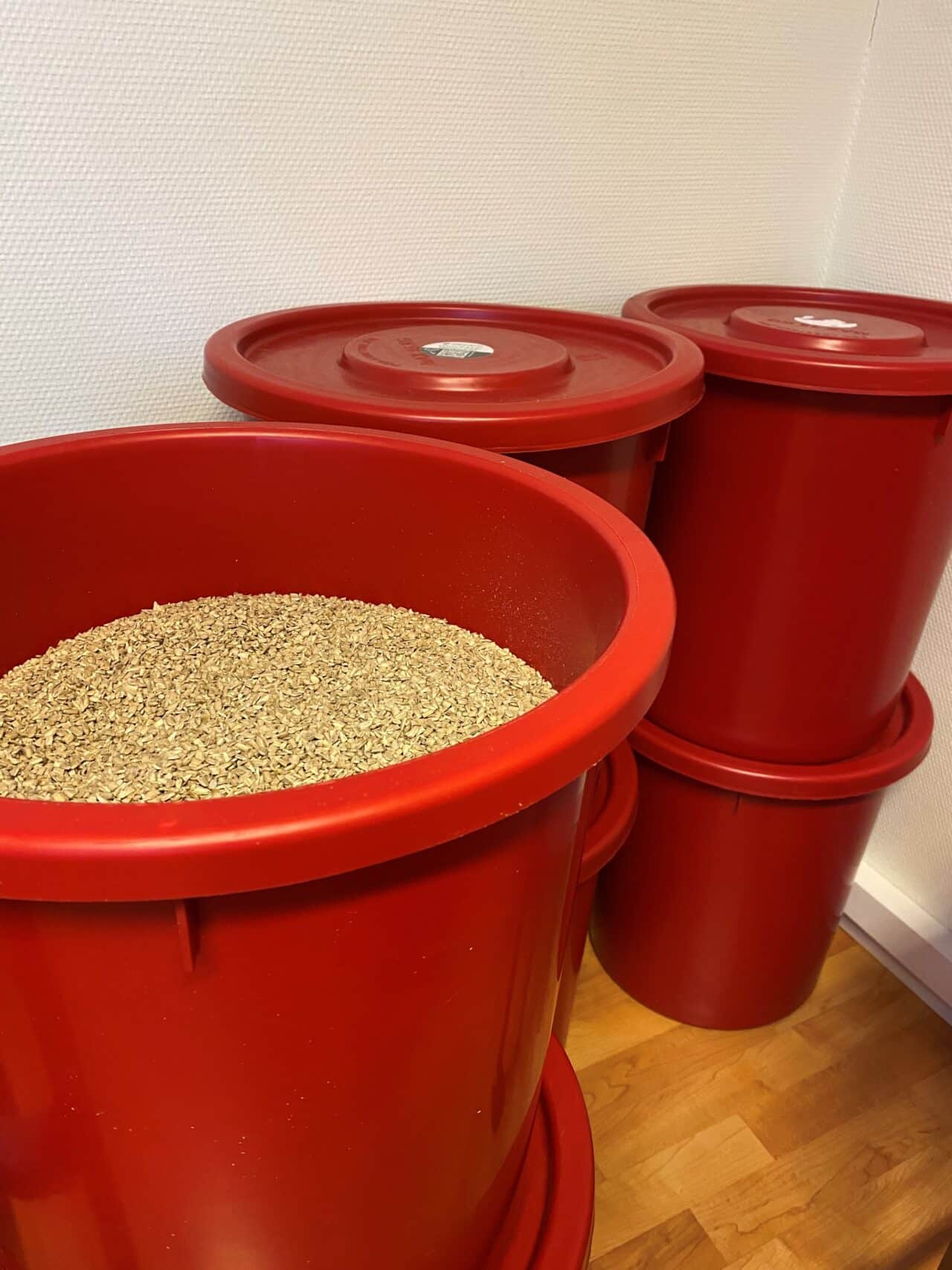 Solrosfrö - Köp solrosfrön till fåglar online - Pippifoder