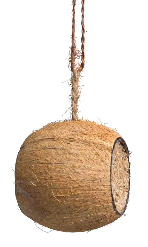 Kokosnöt ”trumma”
