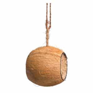 Kokosnöts ”trumma”