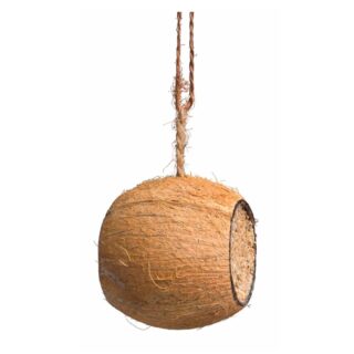Kokosnöts ”trumma”