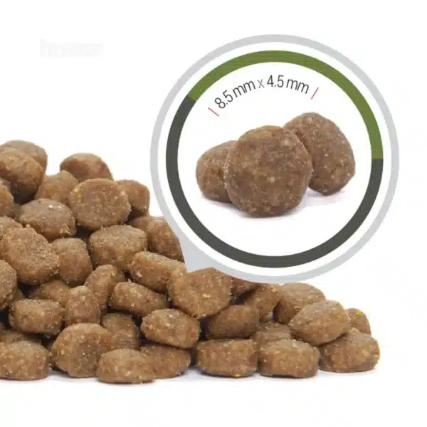 Kattefôr - Exclusive Lyster Care 7kg, tørrfôr for katter med sensitiv hud og pels - Bilde 4