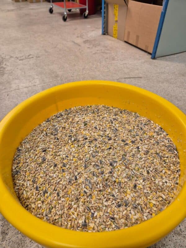 FYND - 20 kg økologiske solsikkefrø med skall i en tønne (kopia) - Bilde 2
