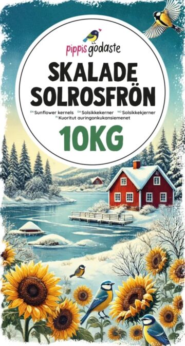 Solrosfrö - Köp solrosfrön till fåglar online - Pippifoder