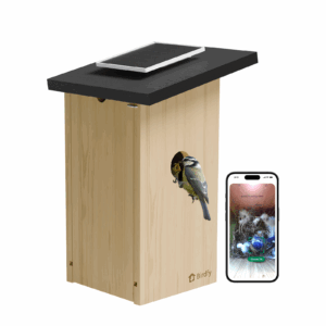 Birdfy fågelholk med kamera