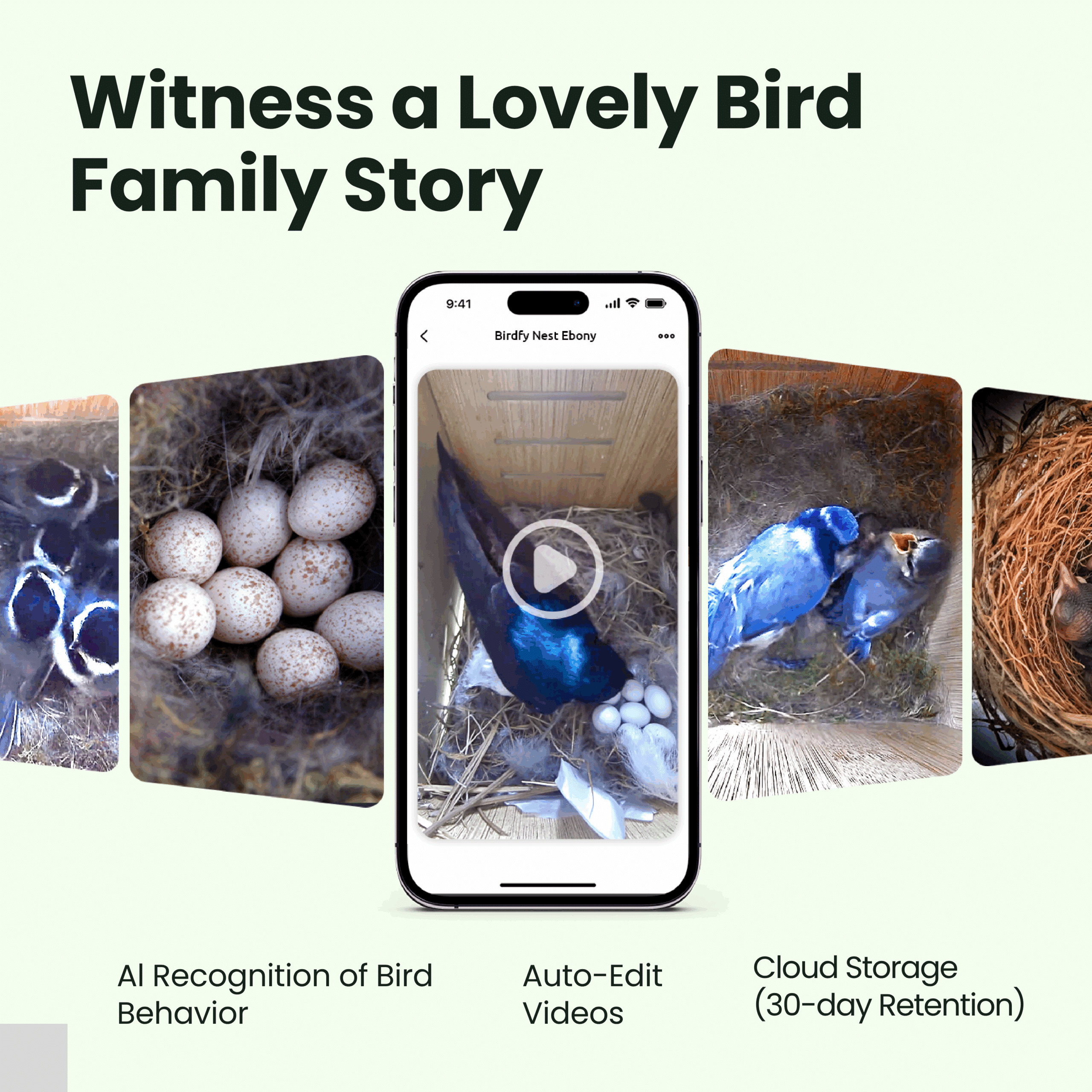 Birdfy, linnunruokinta kameralla, sininen (kopia) 2 Birdfy, linnunruokinta kameralla, sininen (kopia) - Image 2