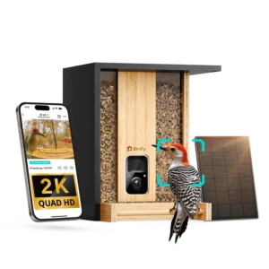 Birdfy Bamboo, fågelmatare med kamera