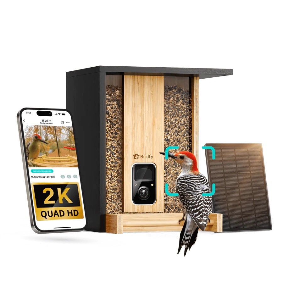 Birdfy Bamboo, fuglefoderautomat med kamera inkl. solceller og livstidslicens 1 Birdfy Bamboo, fågelmatare med kamera
