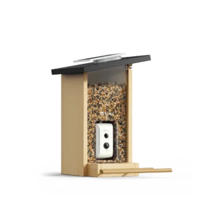 Birdfy ebony, fågelmatare med kamera