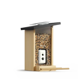 Birdfy ebony, fågelmatare med kamera