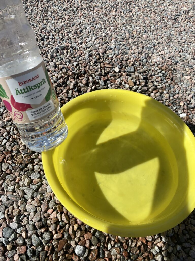 desinficera fågelmatare