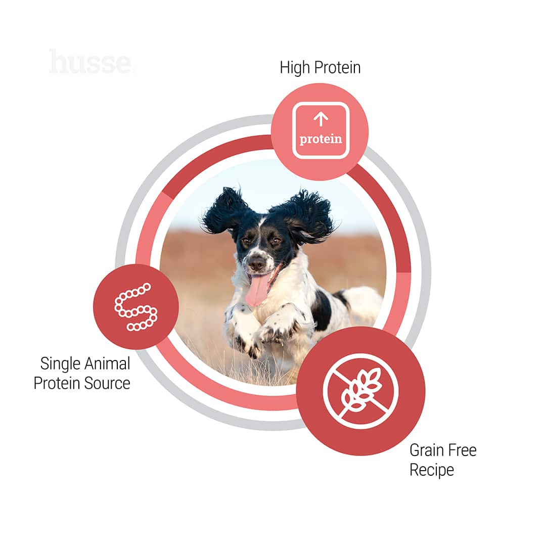Hundmat - Grain Free High Energy Support Adult 12 kg 4 Hundmat - Grain Free High Energy Support Adult 12 kg
