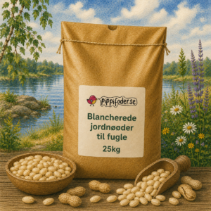 Blancherade jordnötter för fåglar