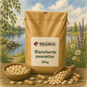 Blancherade jordnötter för fåglar