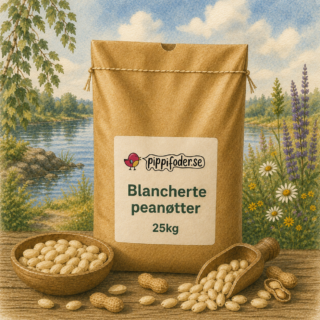 Blancherade jordnötter för fåglar