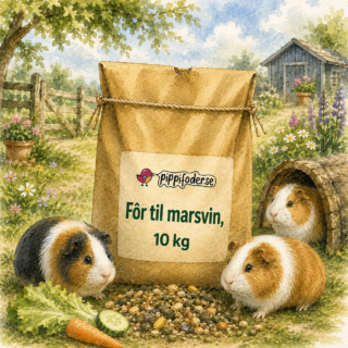 Fôr til marsvin, 10 kg