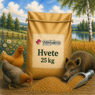 Hvetesekk 25 kg produsert i Sverige, kornfôr til høner og vilt, med høner og villsvin på fôringsplassen i et landlig miljø.