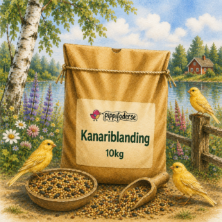 Kanariblanding 10 kg