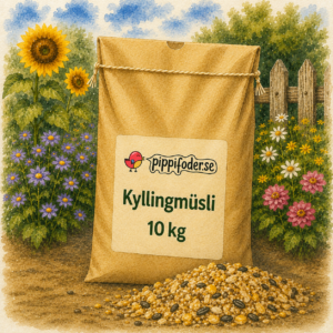 Kyllingmüsli 10 kg fra Pippifoder i et fargerikt hagemiljø