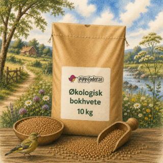 En säck med ekologiskt bovete 10kg på ett bord.