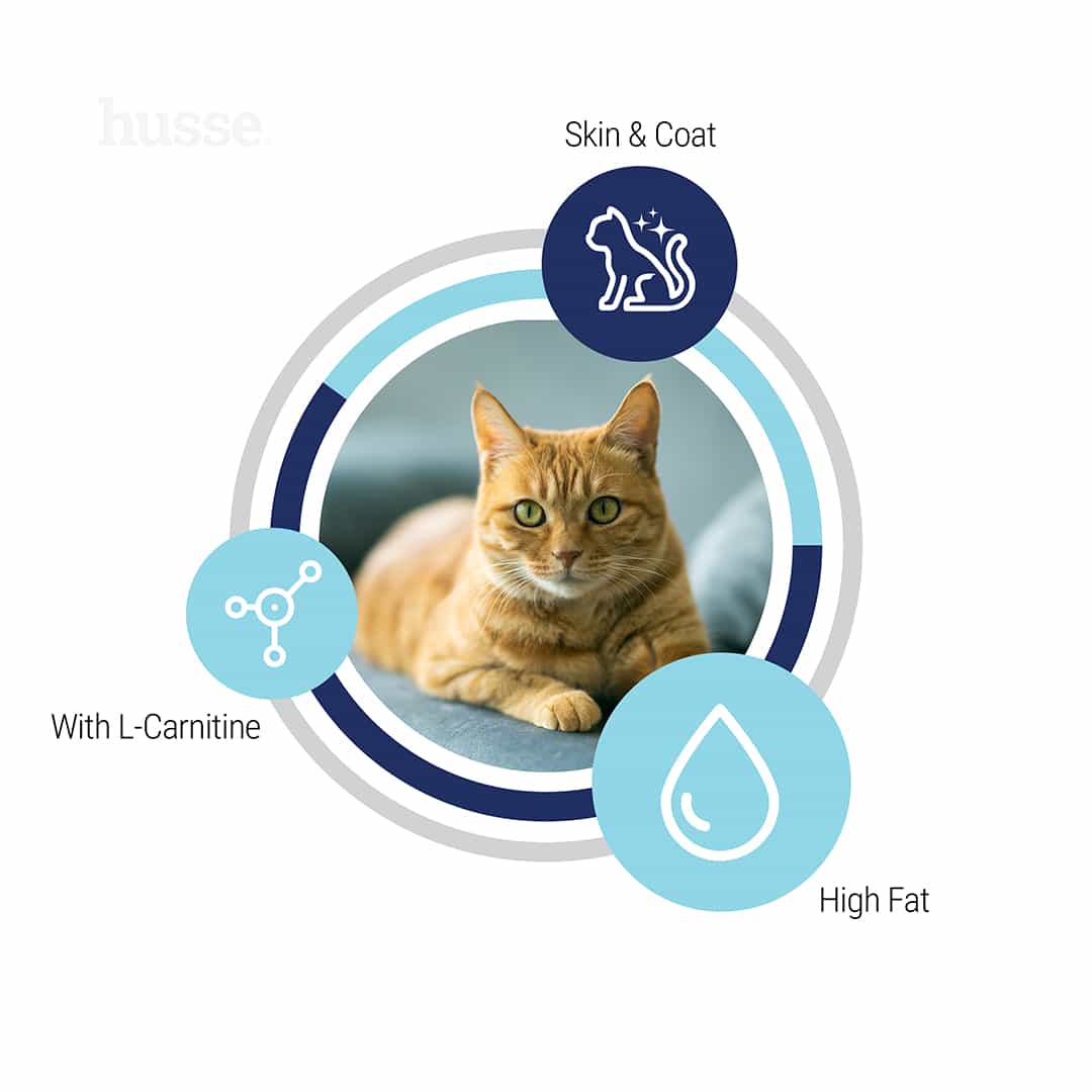 Kattmat - Adult Skin & Coat Cat 12 Kattmat - Adult Skin & Coat Cat