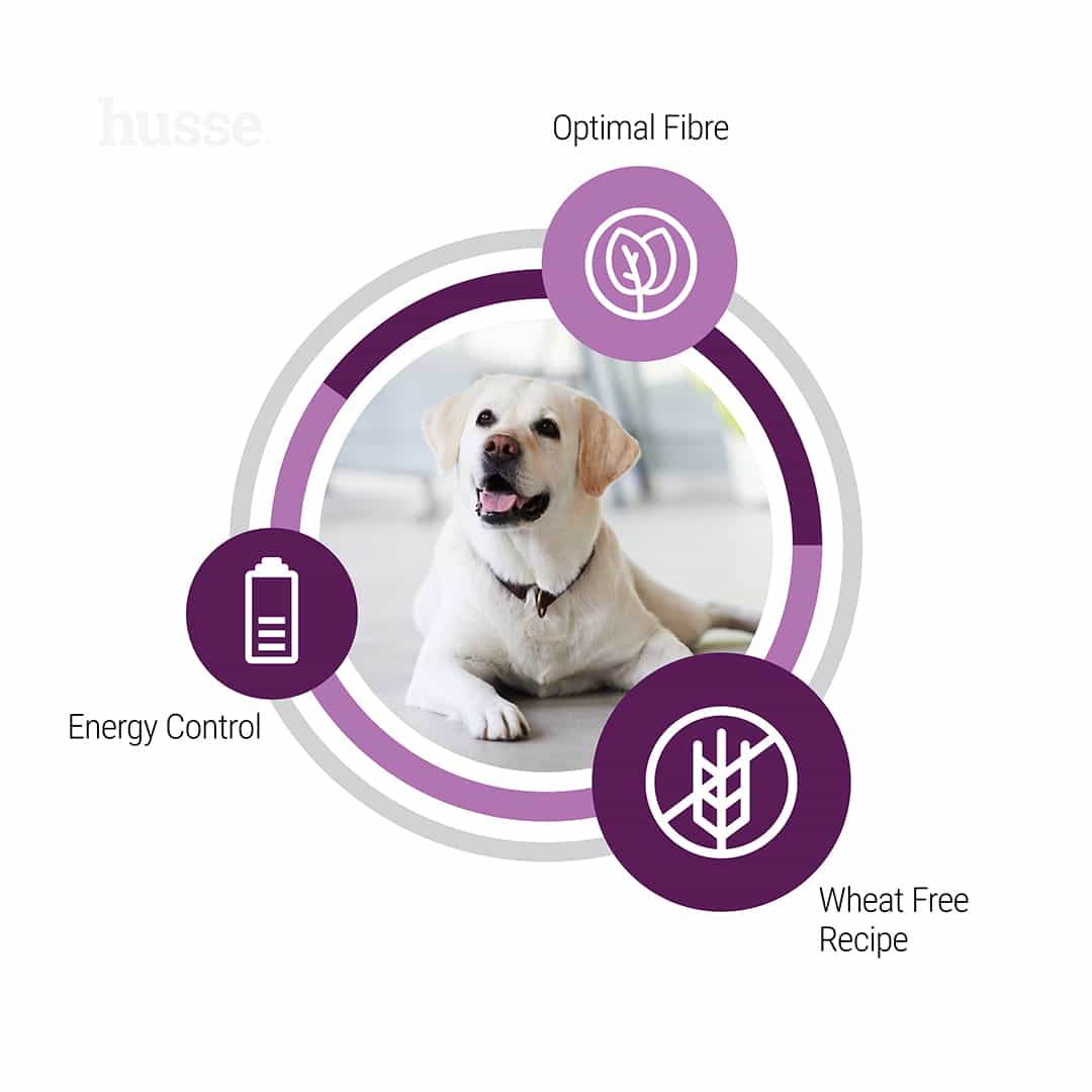 Hundmat - Adult Sterilised 12 kg 2 Hundmat - Adult Sterilised 12 kg
