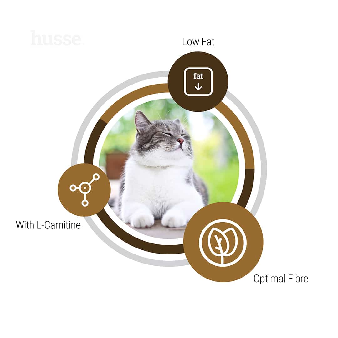 Kattmat - Adult Weight Management 4 Kattmat - Adult Weight Management