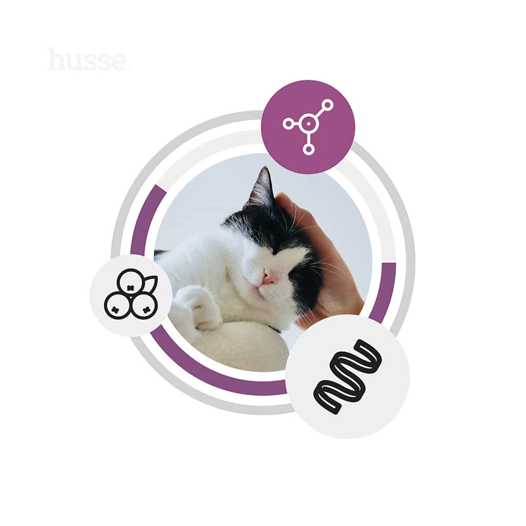 Kattmat - Fresh Sterilised 12 Fresh Sterilised