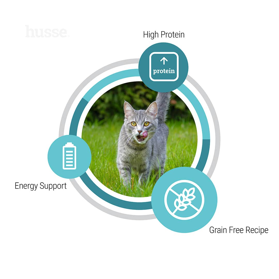 Kattmat - Grain Free High Protein & Low Carb Adult 4 Grain Free High Protein & Low Carb Adult