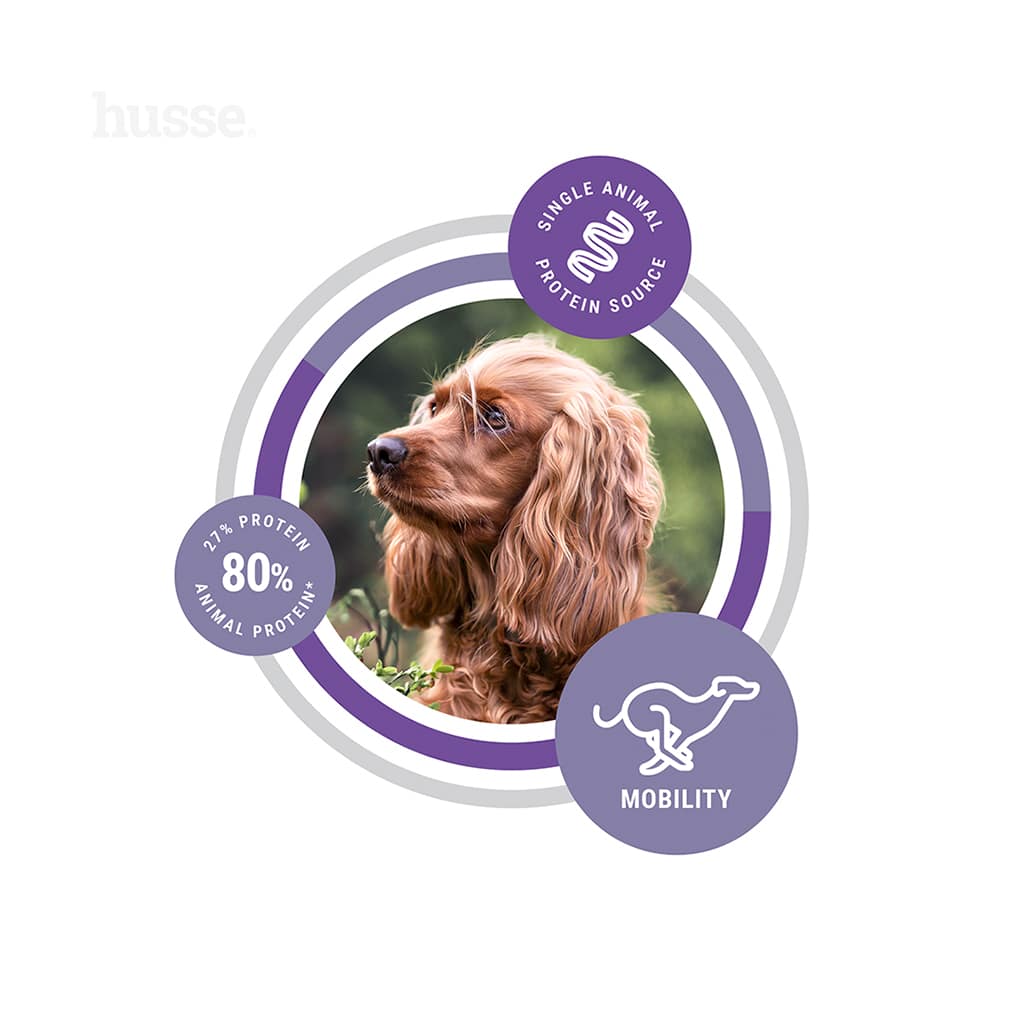 Hundmat - Hypoallergenic Flexcare Adult, 12 kg 4 Hund med fokus på protein och rörlighet