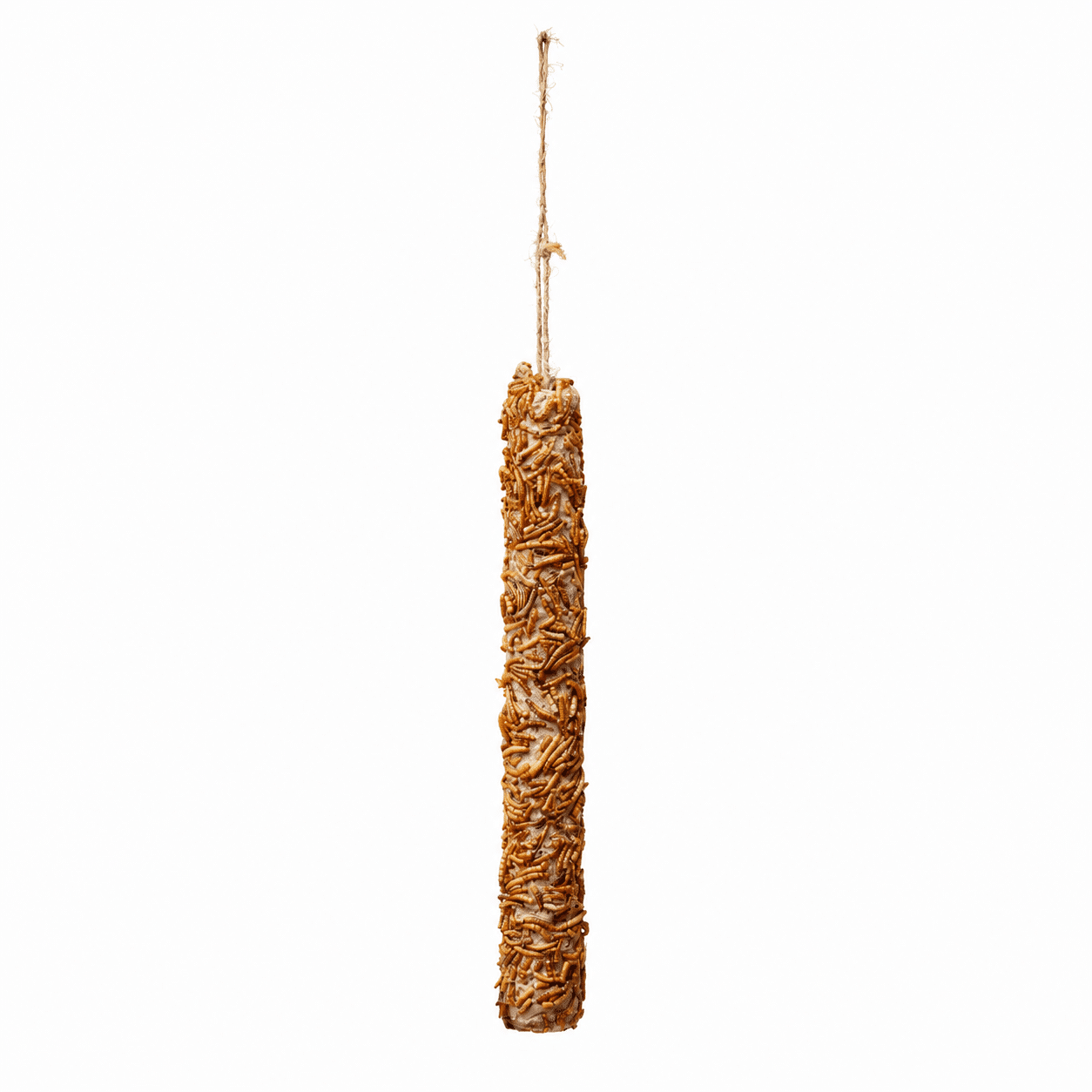 Halv kokosnøddeskal med melorm (kopia) (kopia) (kopia) (kopia) (kopia) (kopia) (kopia) (kopia) (kopia) (kopia) (kopia) (kopia) (kopia) (kopia) (kopia) (kopia) 1 XL-foderstång med mjölmask, 400g